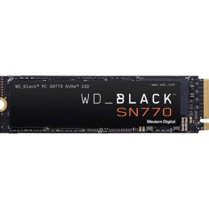 WDS100T3X0E
